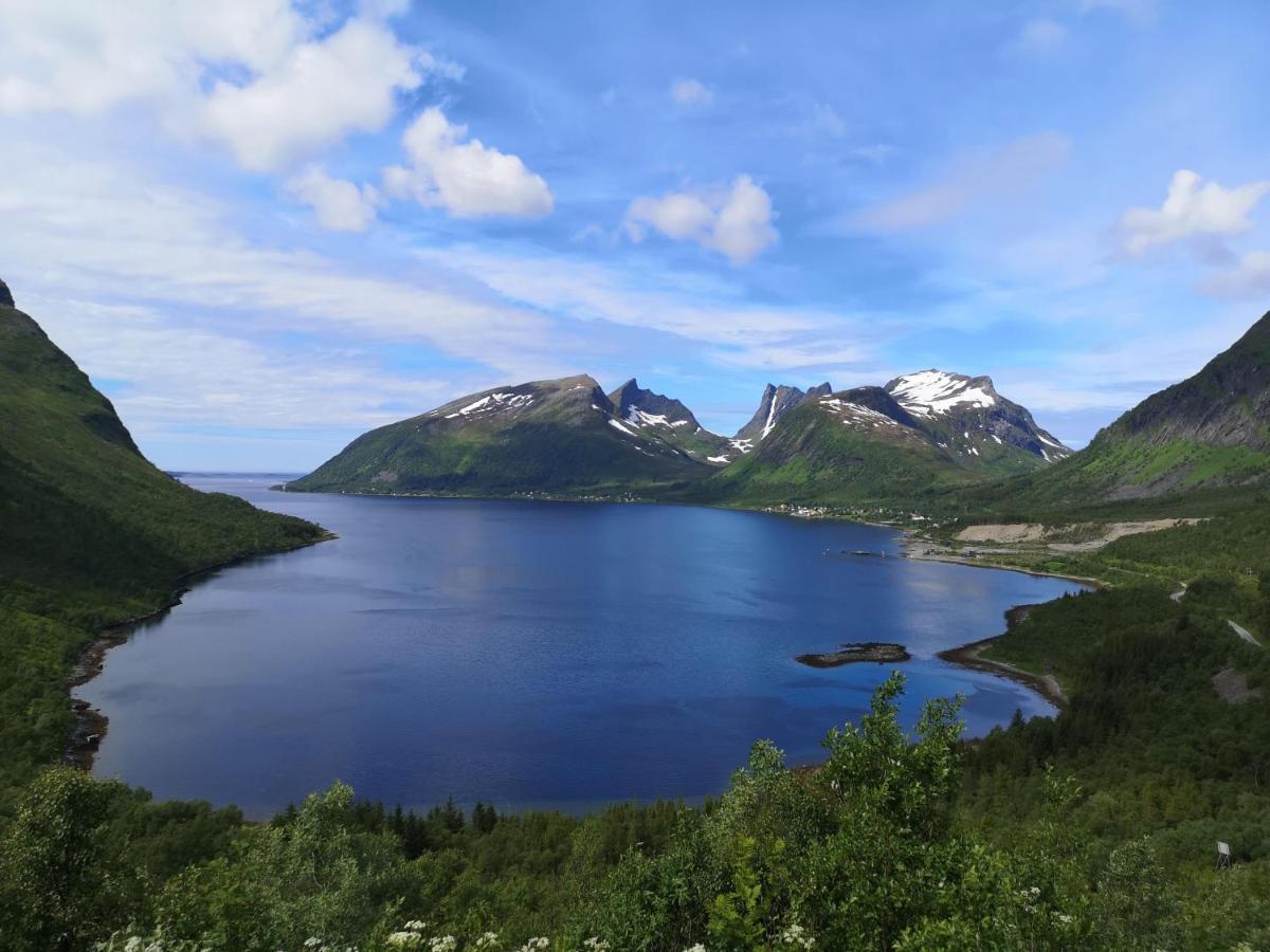 Waterfront Senja Apartment Torsken Exterior photo